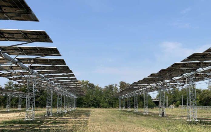 Casalasco avvia il suo primo parco agrivoltaico per il pomodoro